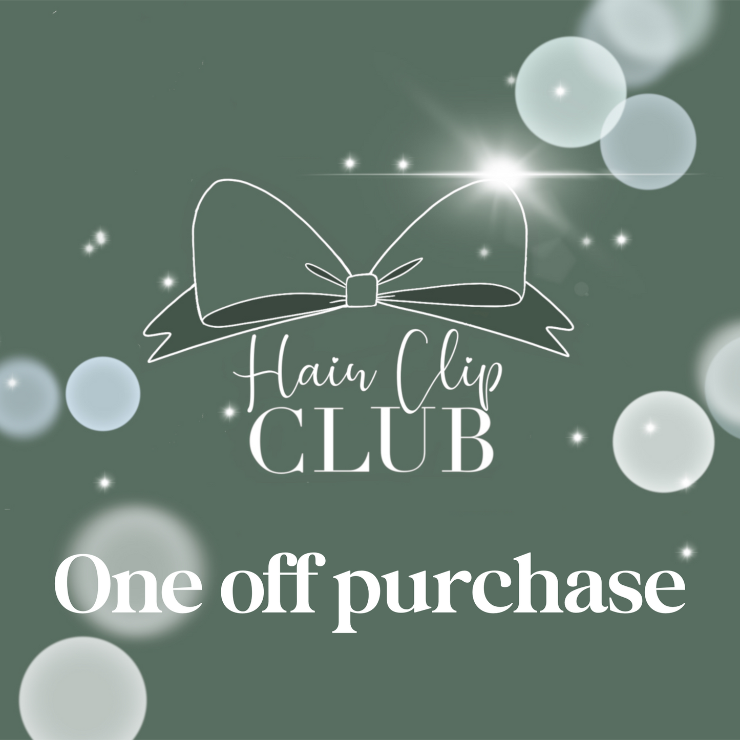 Hair Clip Club (One off purchase)